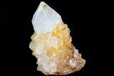 Sunshine Cactus Quartz Crystal - South Africa #80200-1